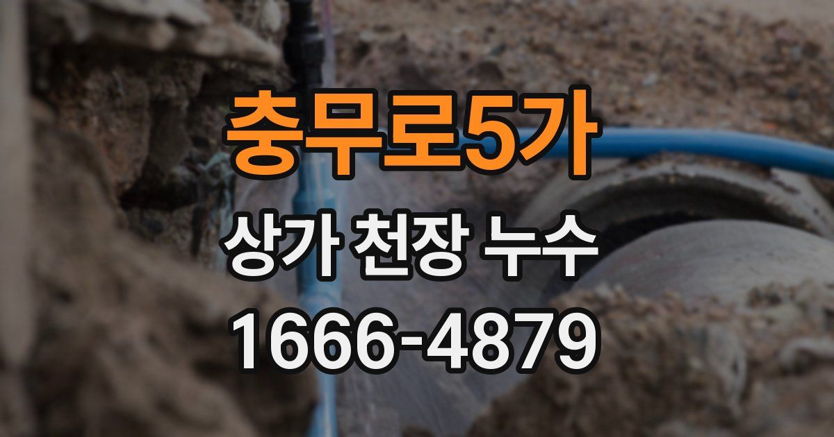 충무로5가 상가 천장 누수