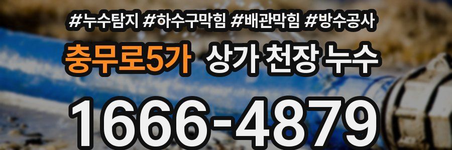 충무로5가 상가 천장 누수
