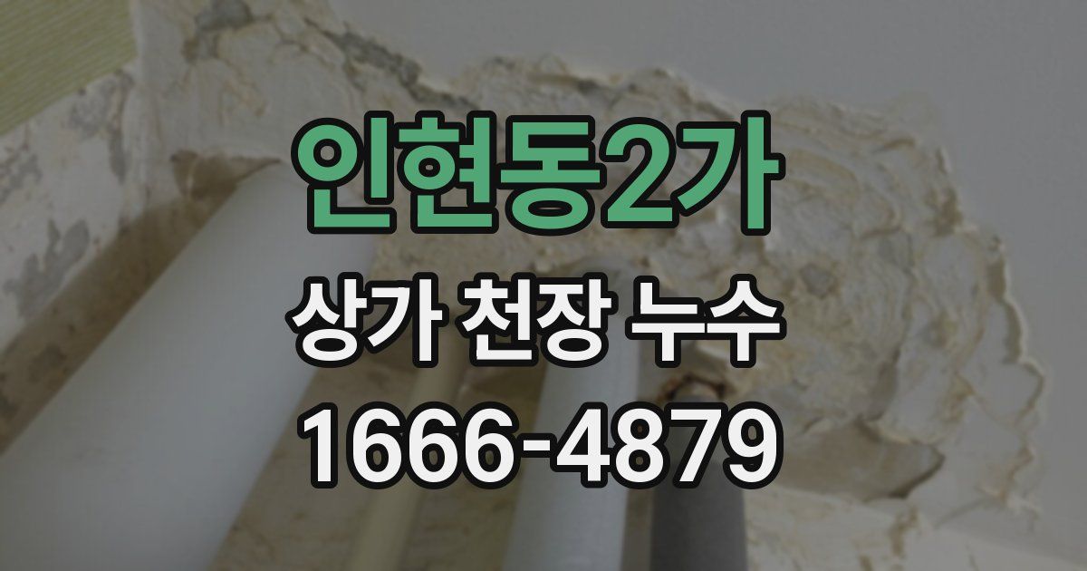 인현동2가 상가 천장 누수