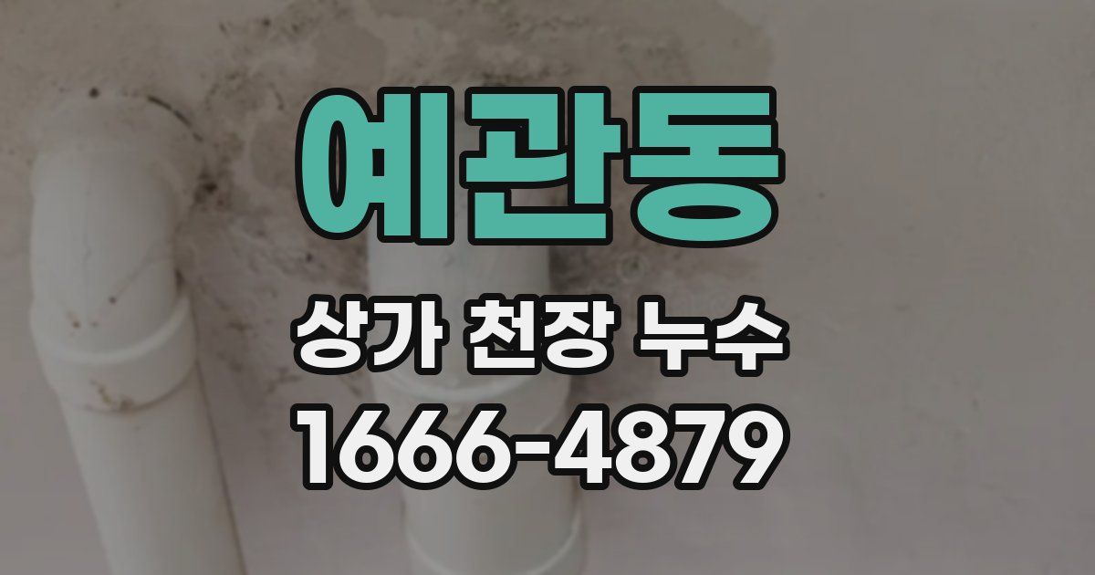 예관동 상가 천장 누수