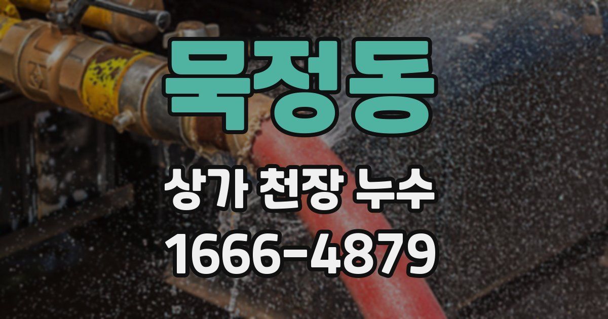 묵정동 상가 천장 누수
