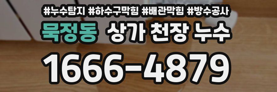 묵정동 상가 천장 누수