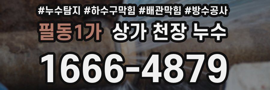 필동1가 상가 천장 누수