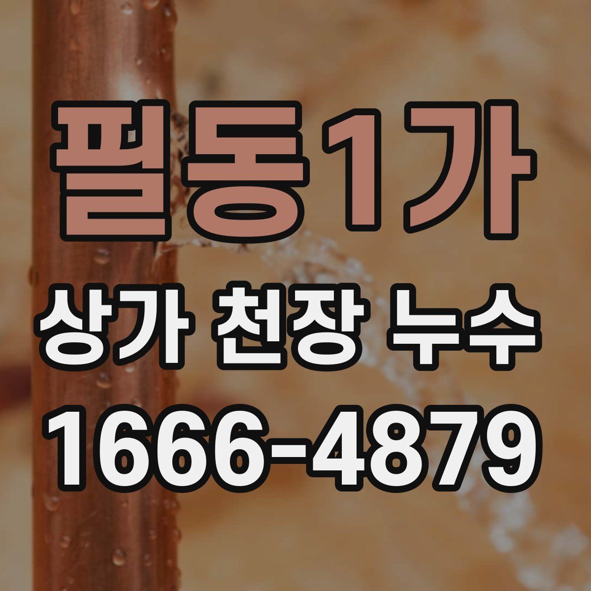 필동1가 상가 천장 누수