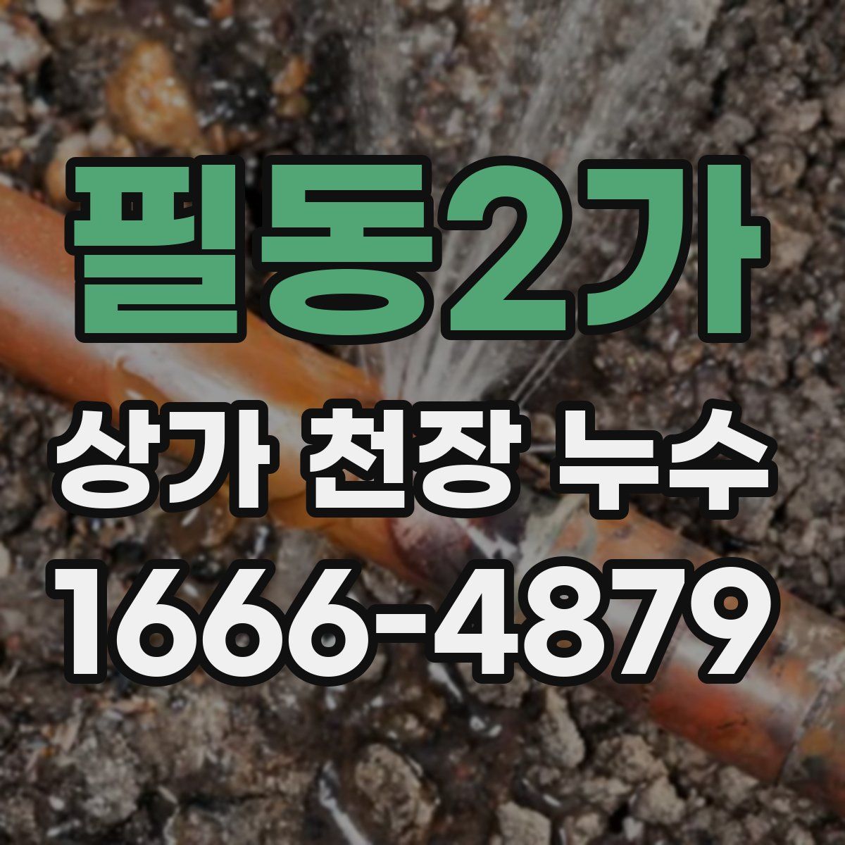 필동2가 상가 천장 누수