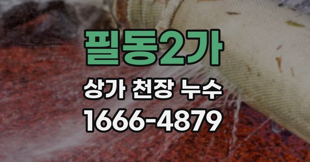 필동2가 상가 천장 누수