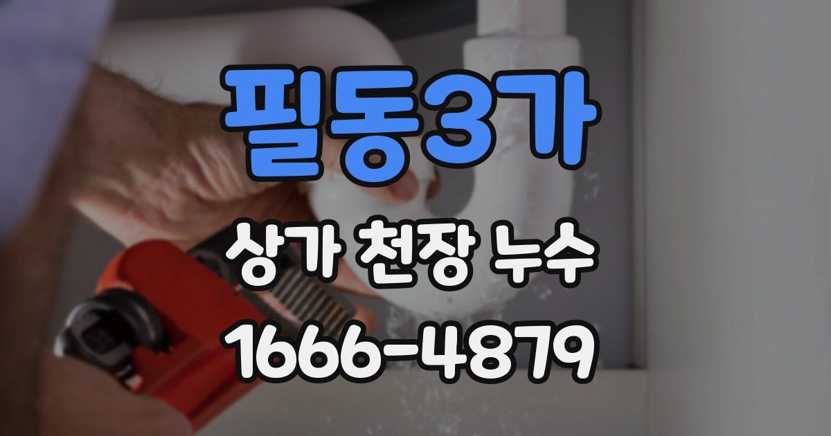 필동3가 상가 천장 누수
