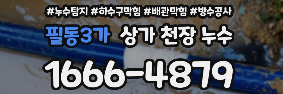필동3가 상가 천장 누수