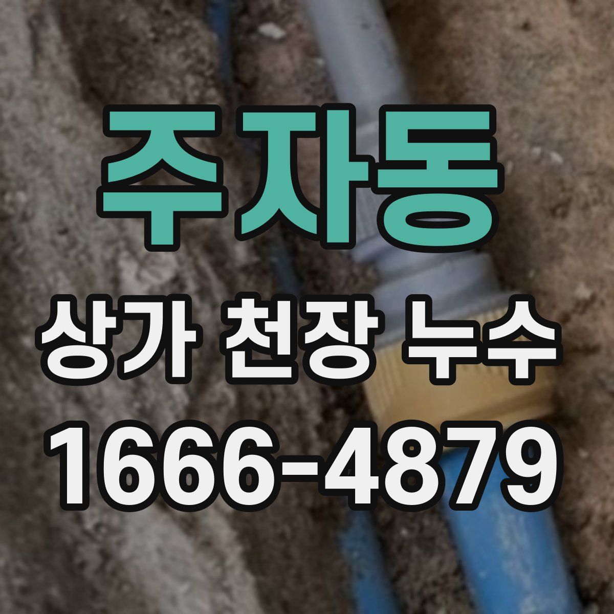 주자동 상가 천장 누수