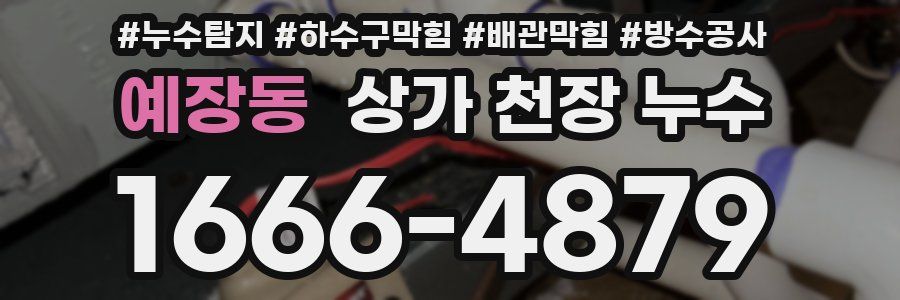 예장동 상가 천장 누수
