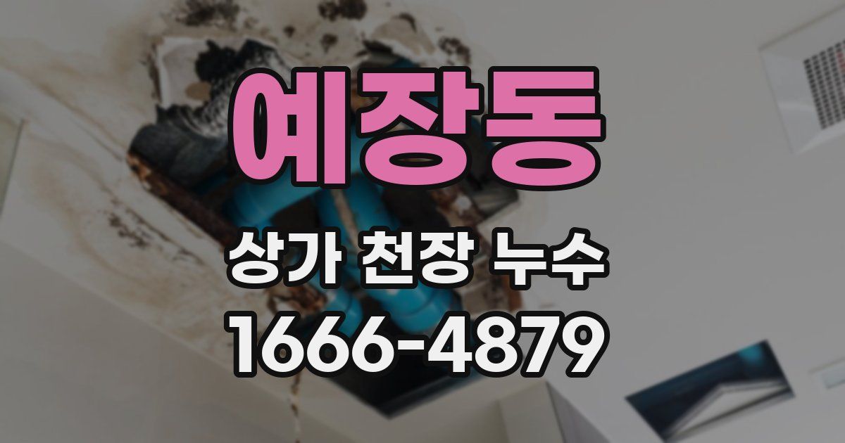 예장동 상가 천장 누수