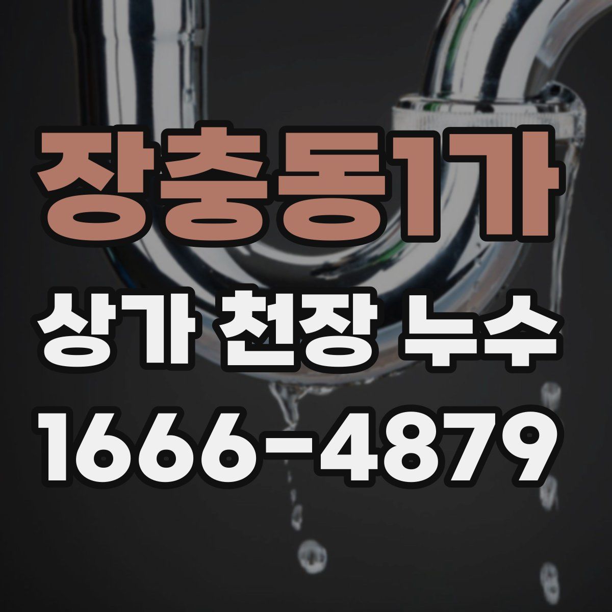 장충동1가 상가 천장 누수