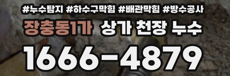 장충동1가 상가 천장 누수