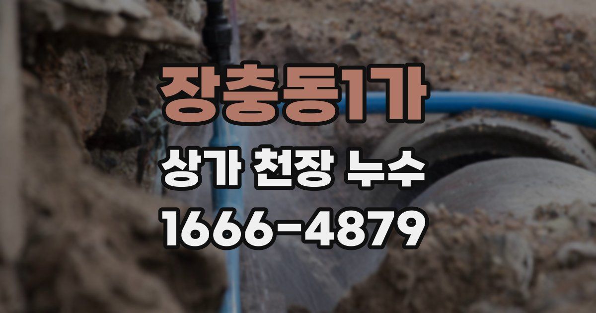장충동1가 상가 천장 누수