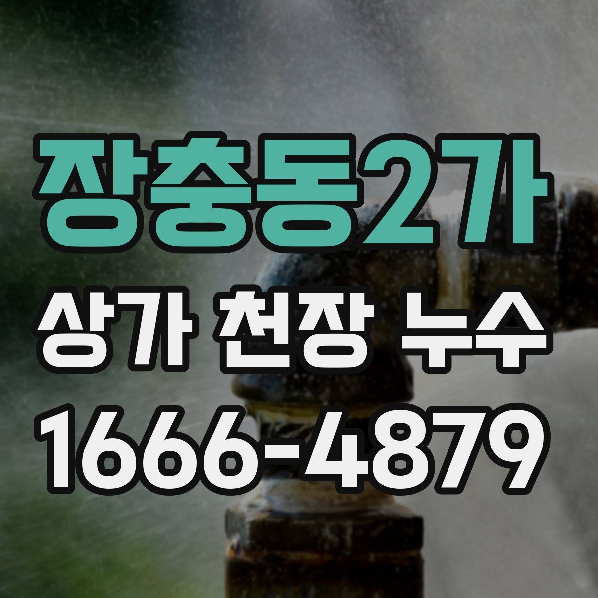 장충동2가 상가 천장 누수