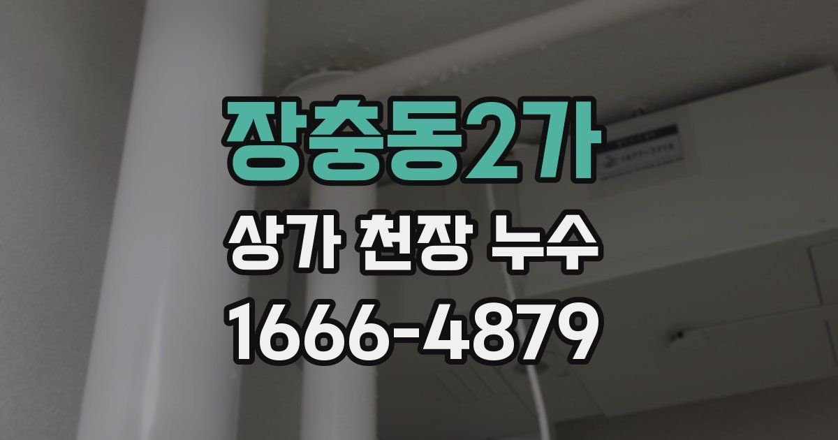 장충동2가 상가 천장 누수