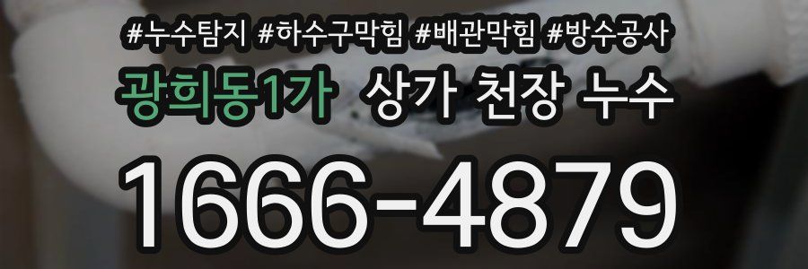 광희동1가 상가 천장 누수