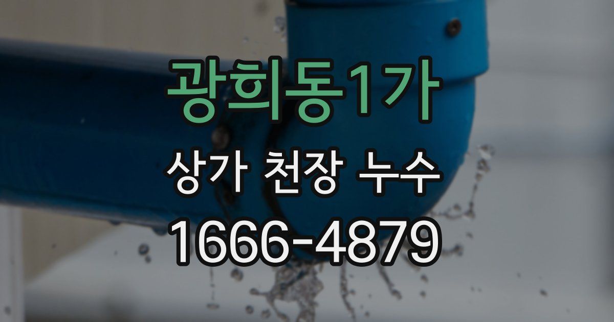 광희동1가 상가 천장 누수