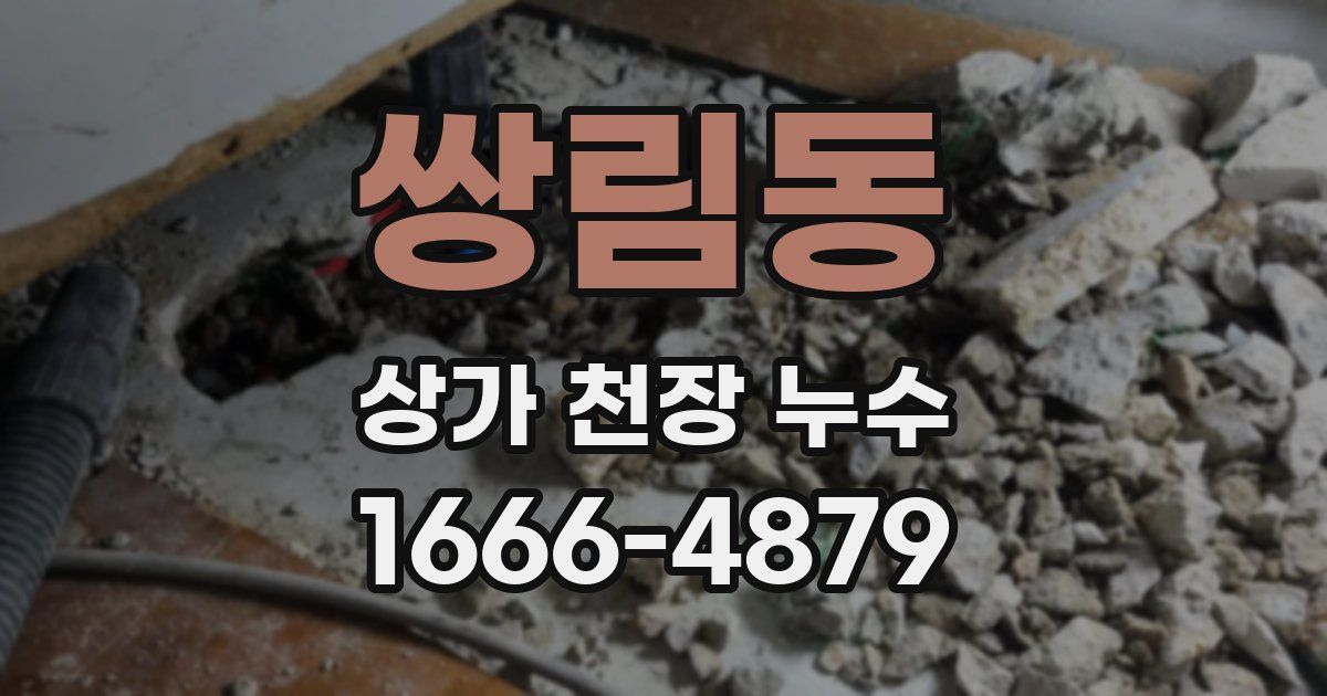 쌍림동 상가 천장 누수