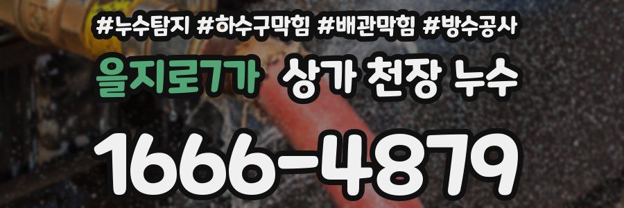 을지로7가 상가 천장 누수