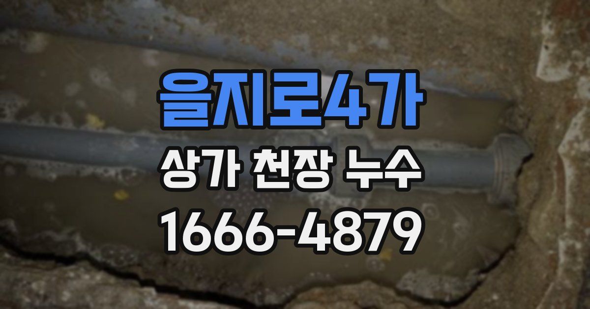 을지로4가 상가 천장 누수