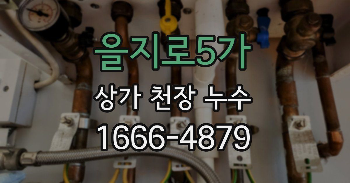 을지로5가 상가 천장 누수