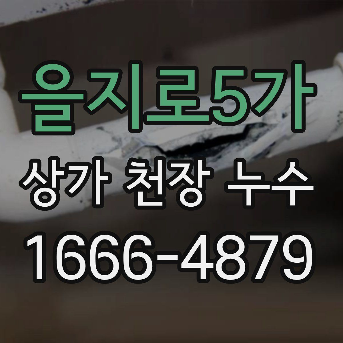 을지로5가 상가 천장 누수