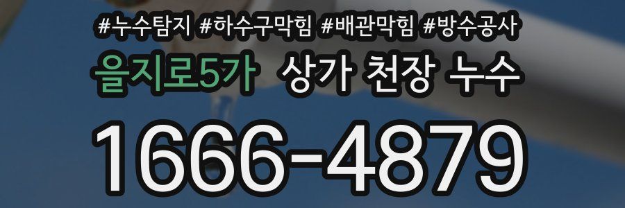 을지로5가 상가 천장 누수