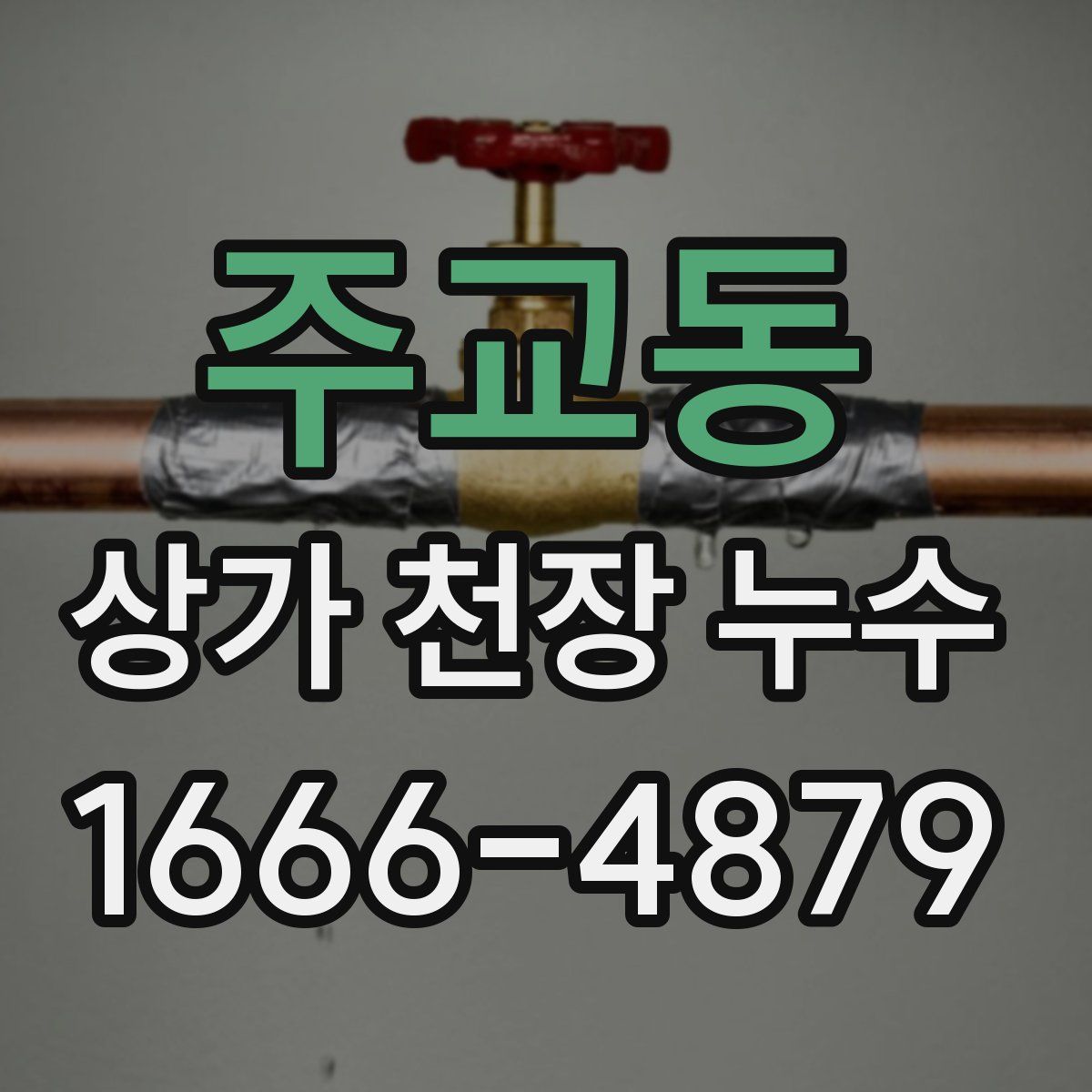 주교동 상가 천장 누수