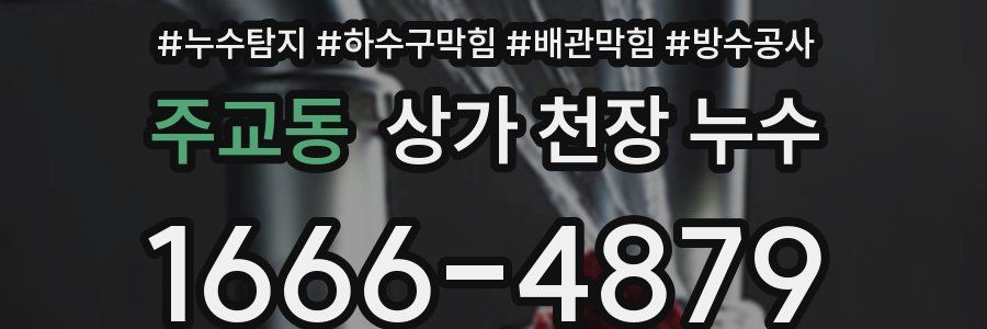 주교동 상가 천장 누수