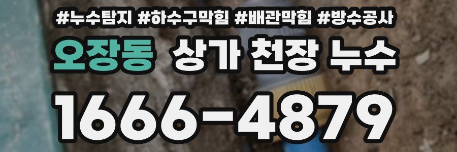 오장동 상가 천장 누수