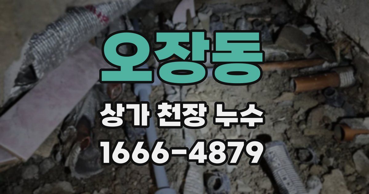 오장동 상가 천장 누수