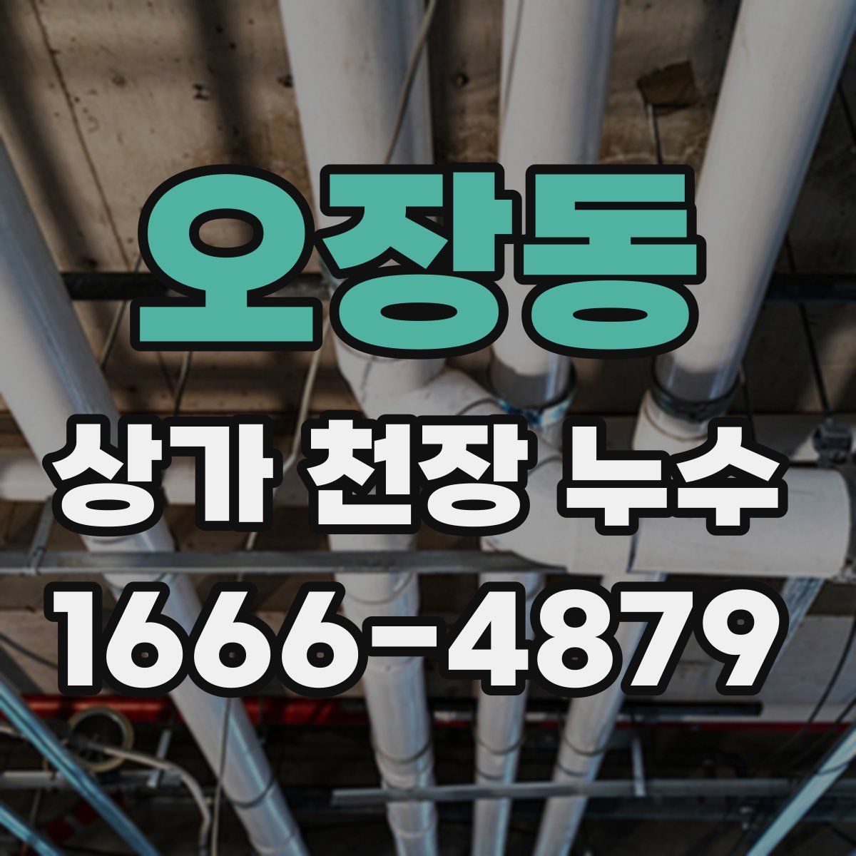 오장동 상가 천장 누수