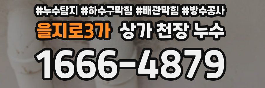 을지로3가 상가 천장 누수