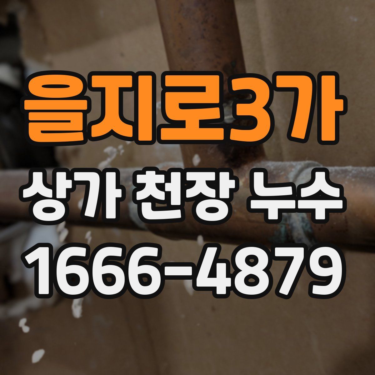 을지로3가 상가 천장 누수