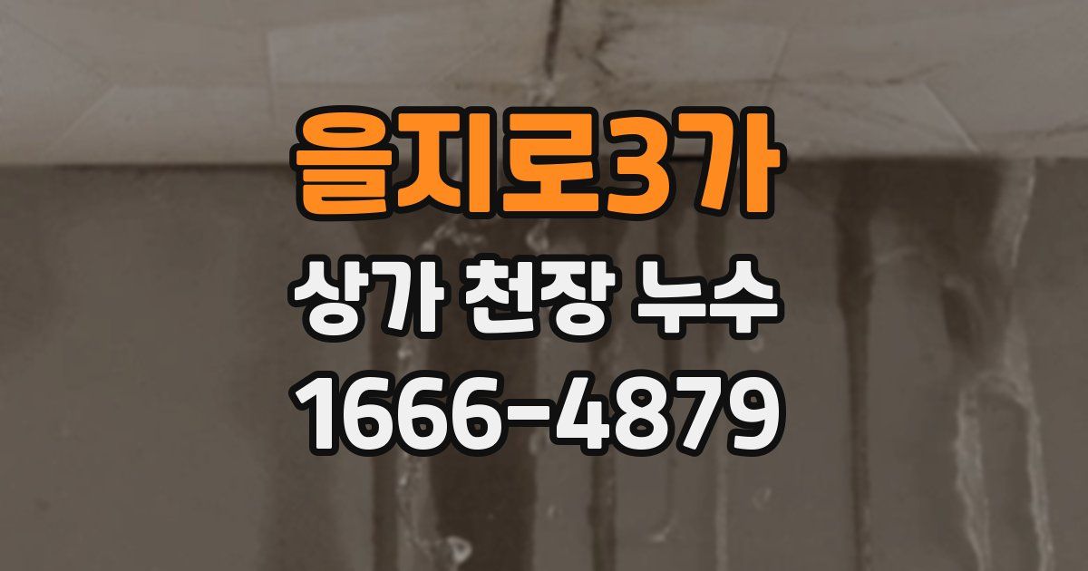 을지로3가 상가 천장 누수