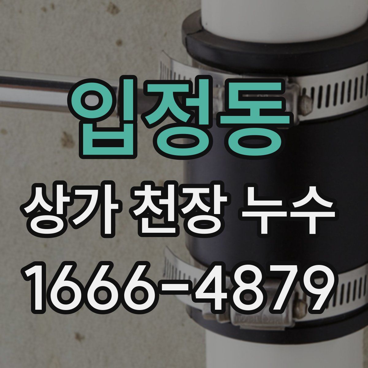 입정동 상가 천장 누수
