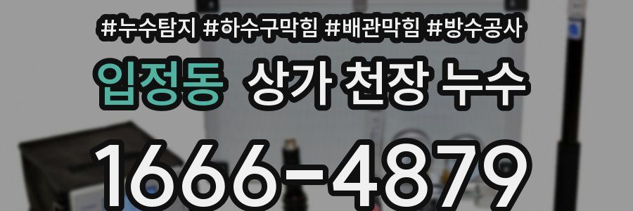 입정동 상가 천장 누수