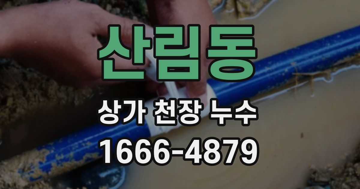산림동 상가 천장 누수
