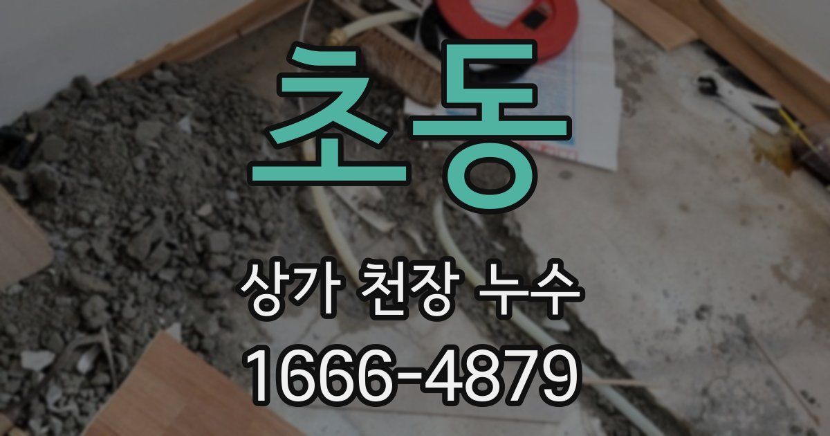초동 상가 천장 누수