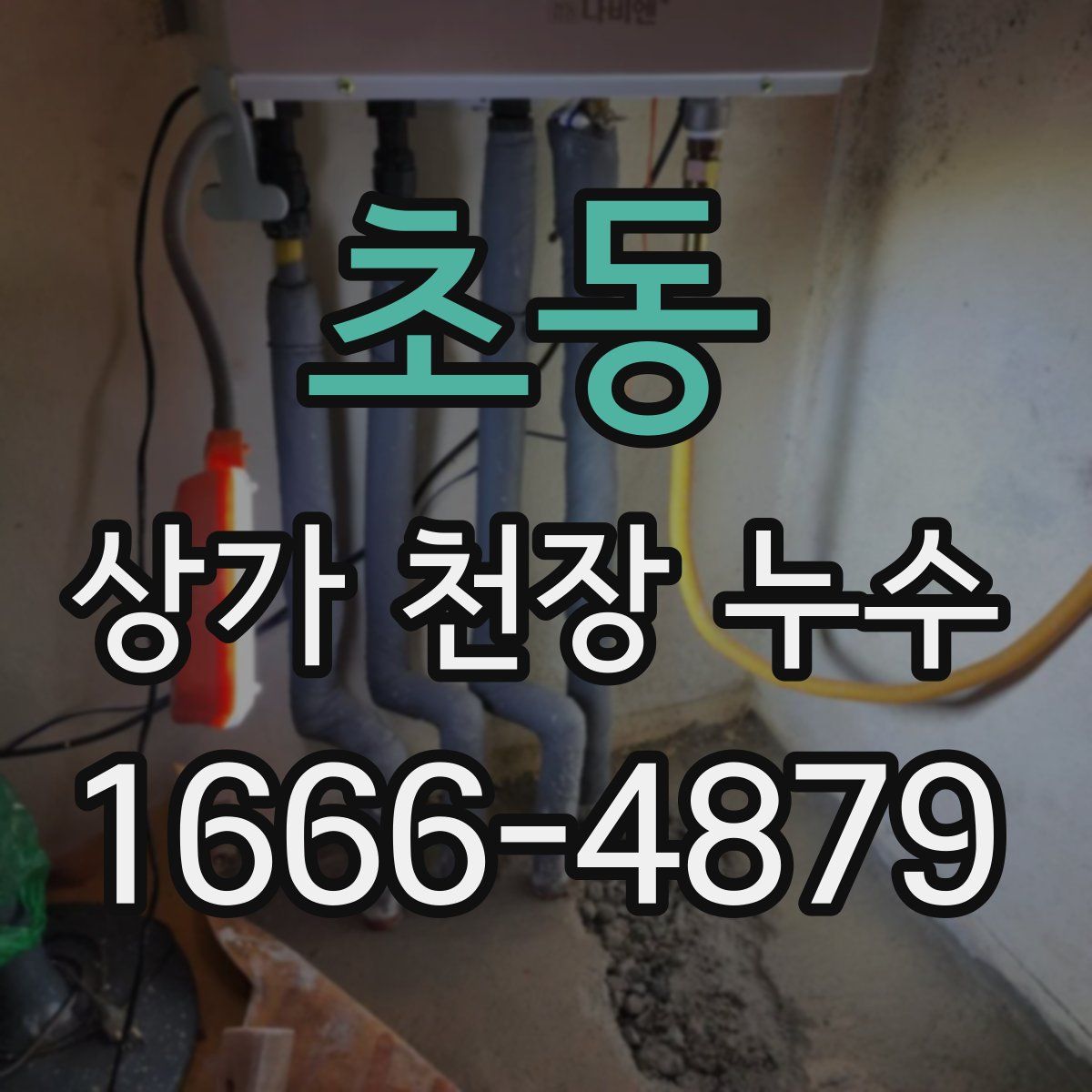 초동 상가 천장 누수