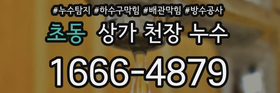 초동 상가 천장 누수