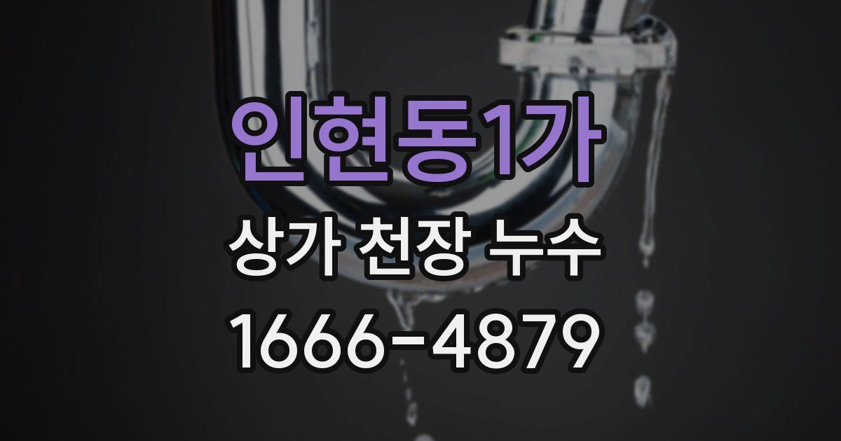 인현동1가 상가 천장 누수