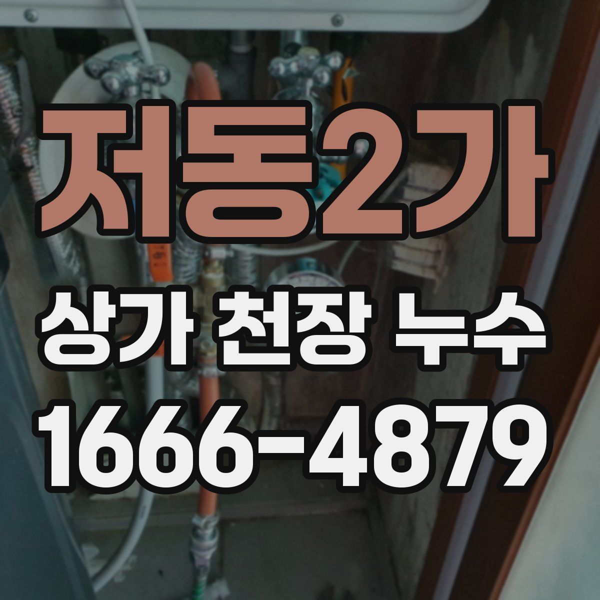 저동2가 상가 천장 누수