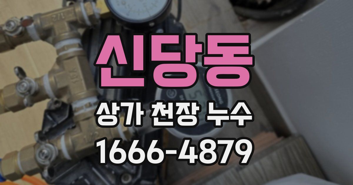 신당동 상가 천장 누수