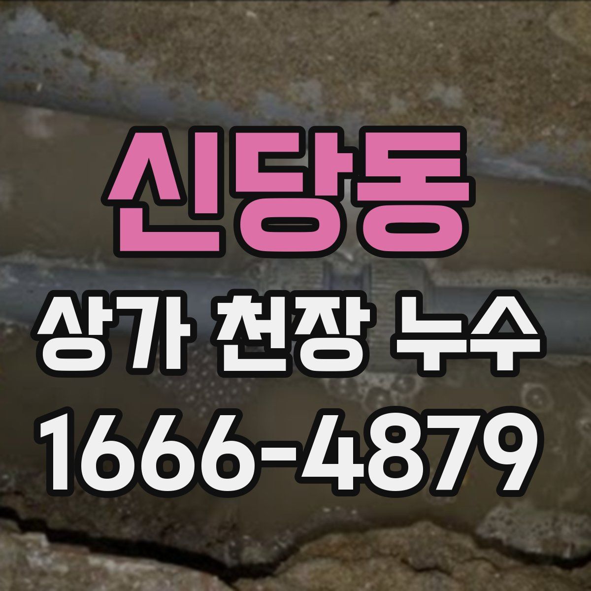 신당동 상가 천장 누수