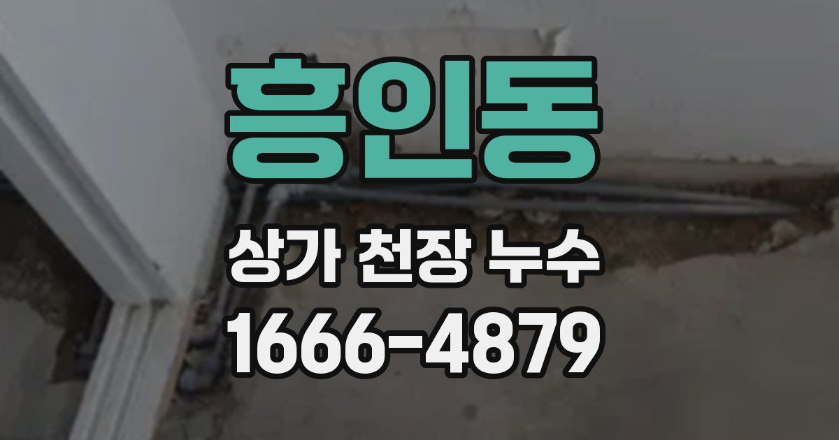 흥인동 상가 천장 누수