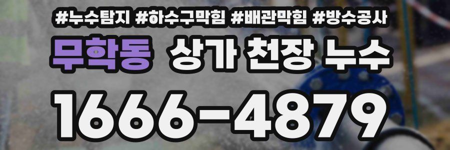 무학동 상가 천장 누수