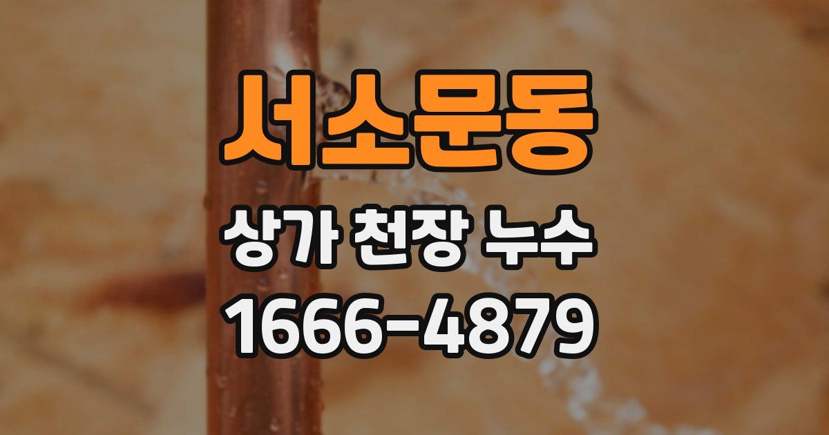서소문동 상가 천장 누수