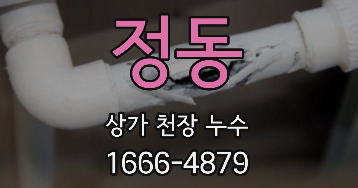 정동 상가 천장 누수